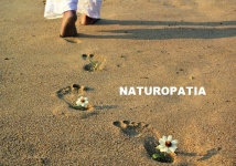 ¿Qué efecto produce la Naturopatía en tu cuerpo?