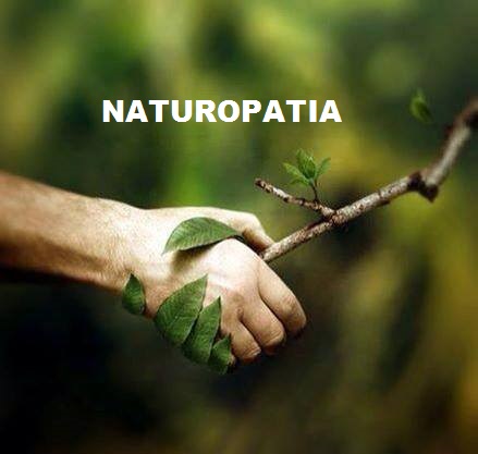 ¿Cómo tratamos en nuestras consultas de Naturopatía?